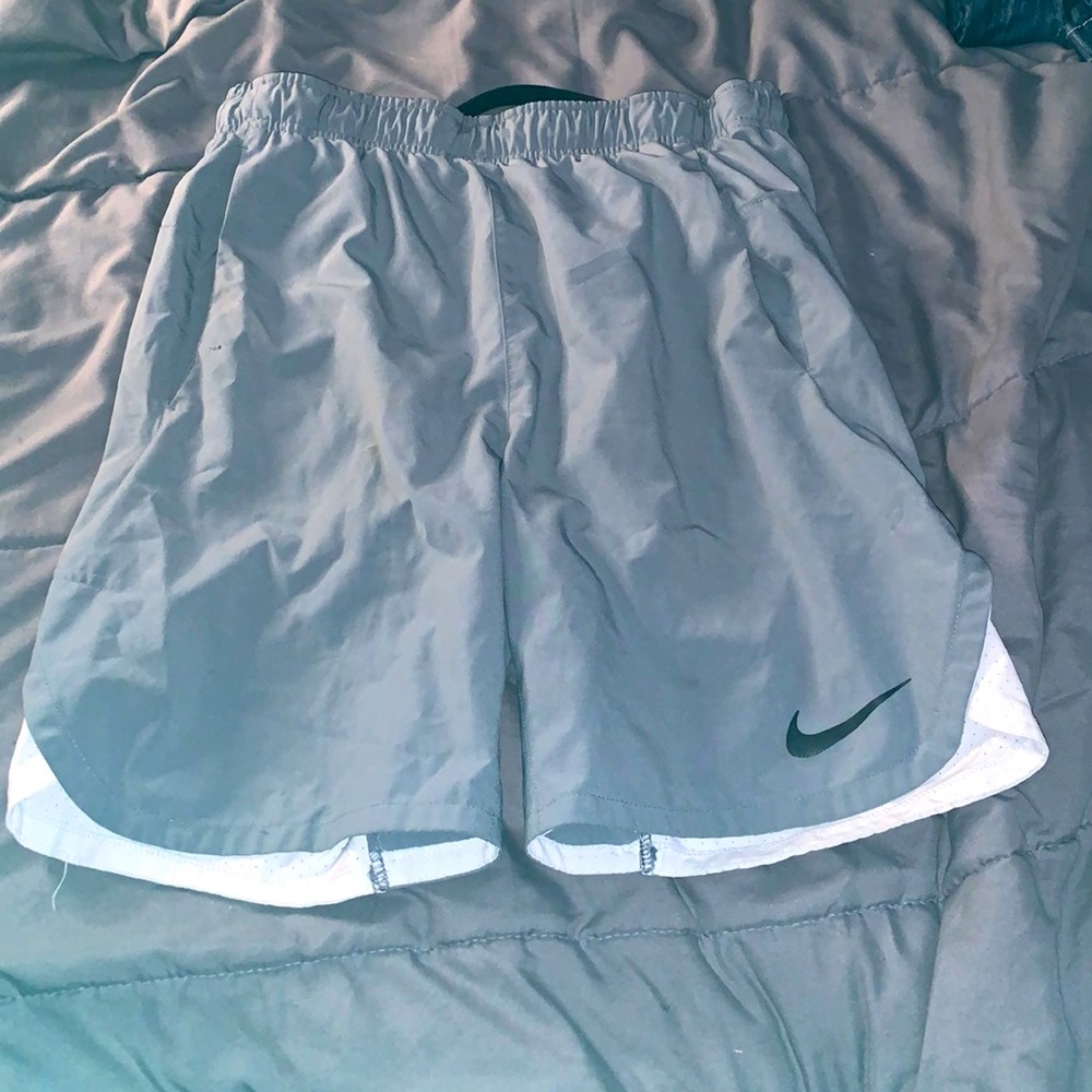 Nike Swim Shorts (Gray)